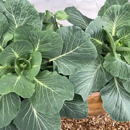 Eklo Centre Bastide 3*