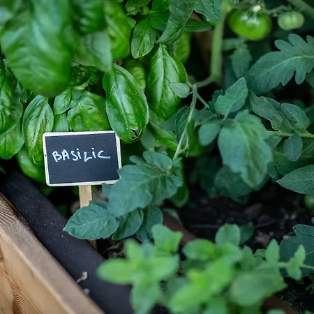 Hotel Eklo Centre Bastide 3*