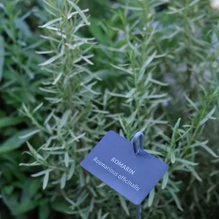 Eklo Centre Bastide 3* Bordeaux