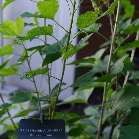 Eklo Centre Bastide 3*