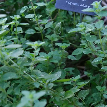 Eklo Centre Bastide Hotel 3*