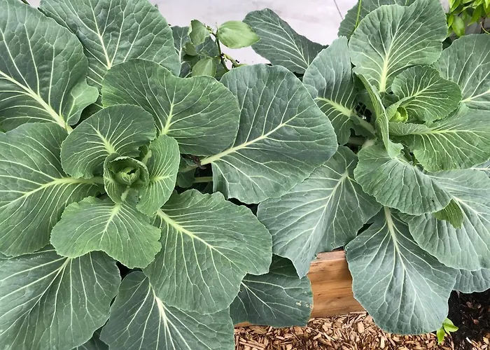 Eklo Centre Bastide 3*