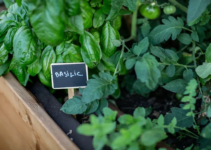 Hotel Eklo Centre Bastide 3*