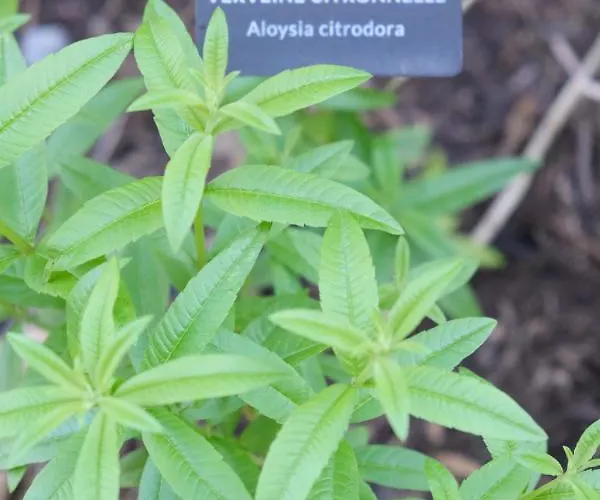 Hotel Eklo Centre Bastide 3*