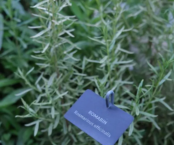 Eklo Centre Bastide 3* Burdeos