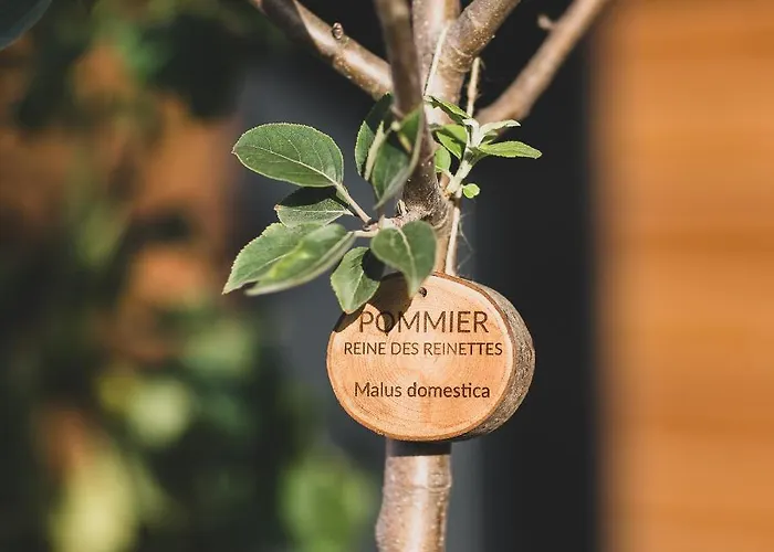 Hotel Eklo Centre Bastide 3*