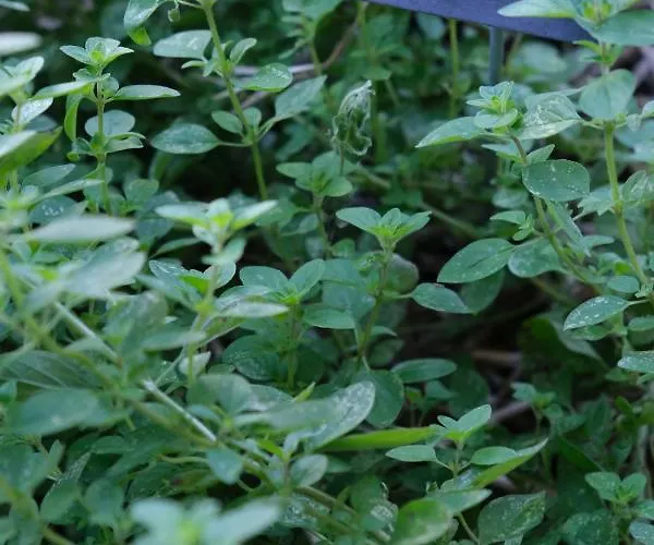 Eklo Centre Bastide Hotel 3*